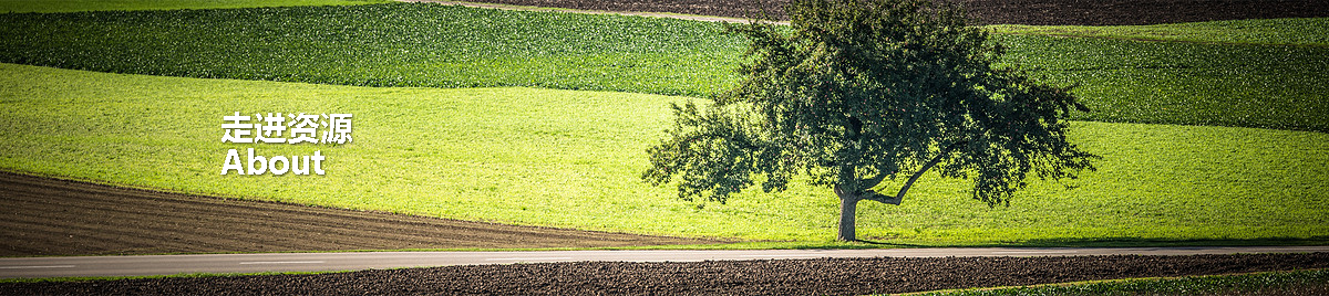 �������ǲ�(�й���)�ٷ���վ