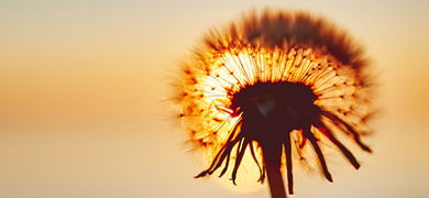 �������ǲ��Ļ�