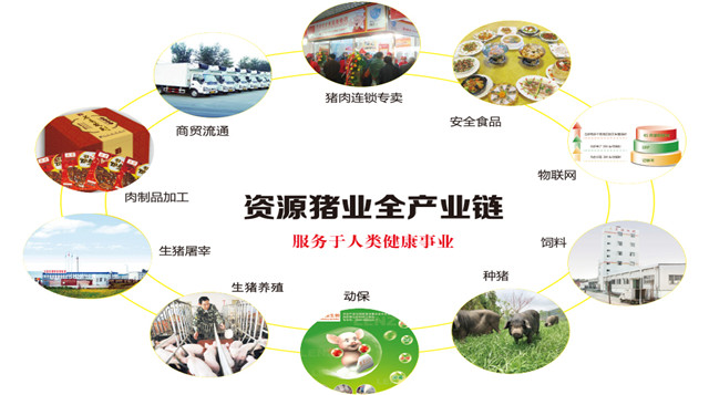 �������ǲ�(�й���)�ٷ���վ