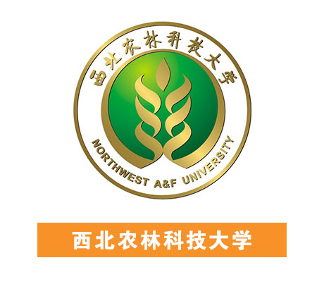 �������ǲ�(�й���)�ٷ���վ