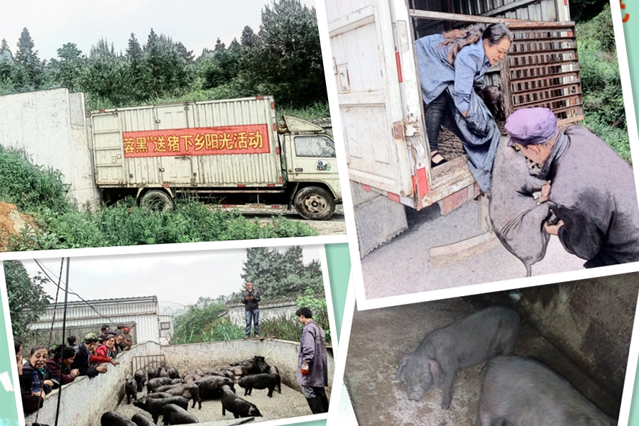 C:\Users\Administrator\Desktop\2018.05.16-236��ƶģʽ �������������\׿����.jpg